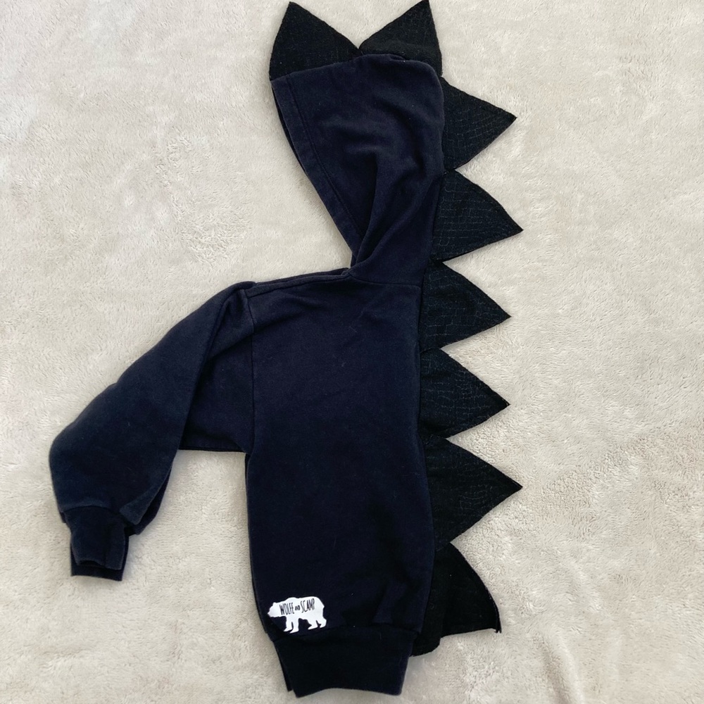 Dinosaur Hoodie